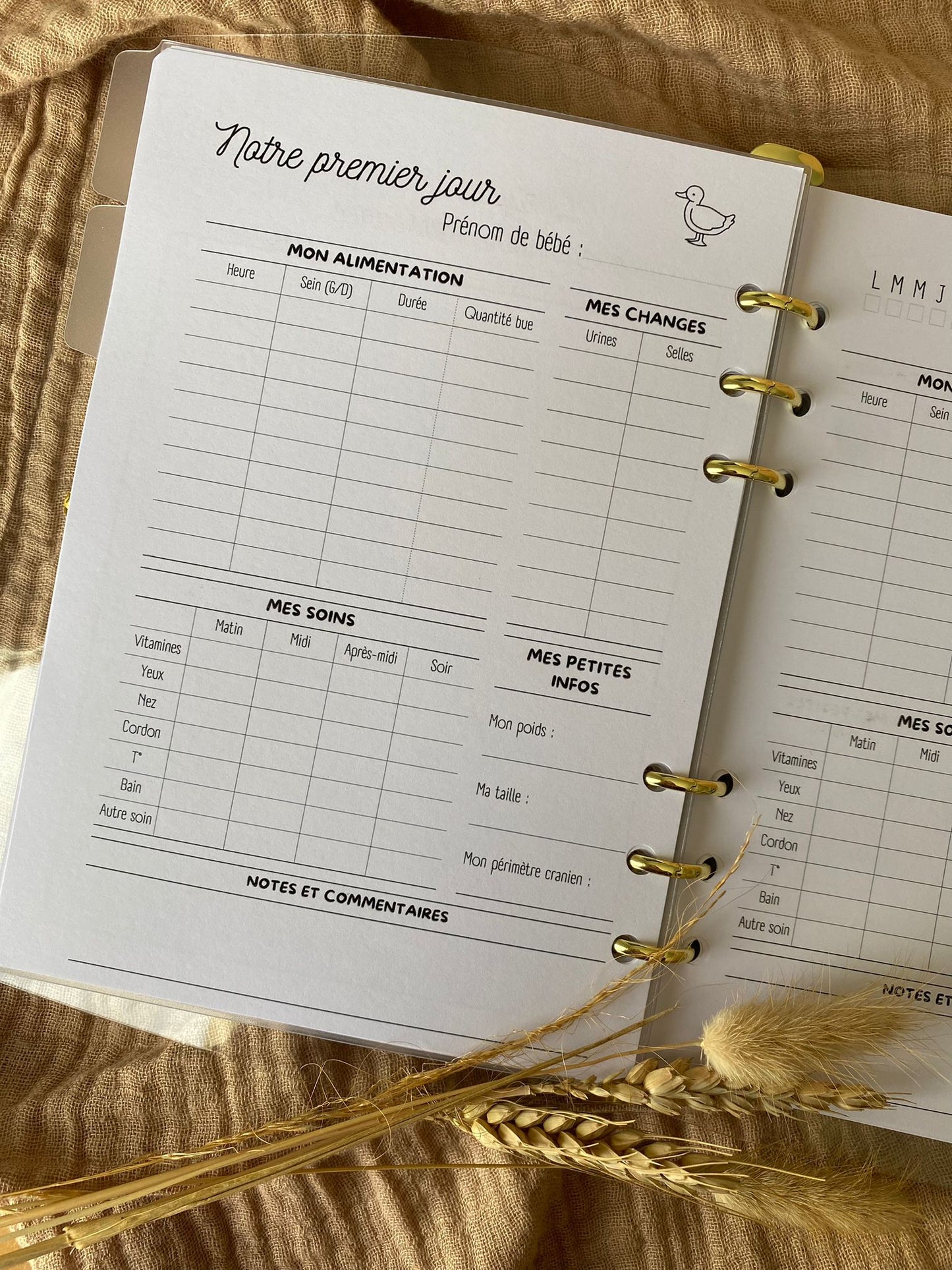 Carnet de suivi jumeaux 🐣🐣 Ma boutique