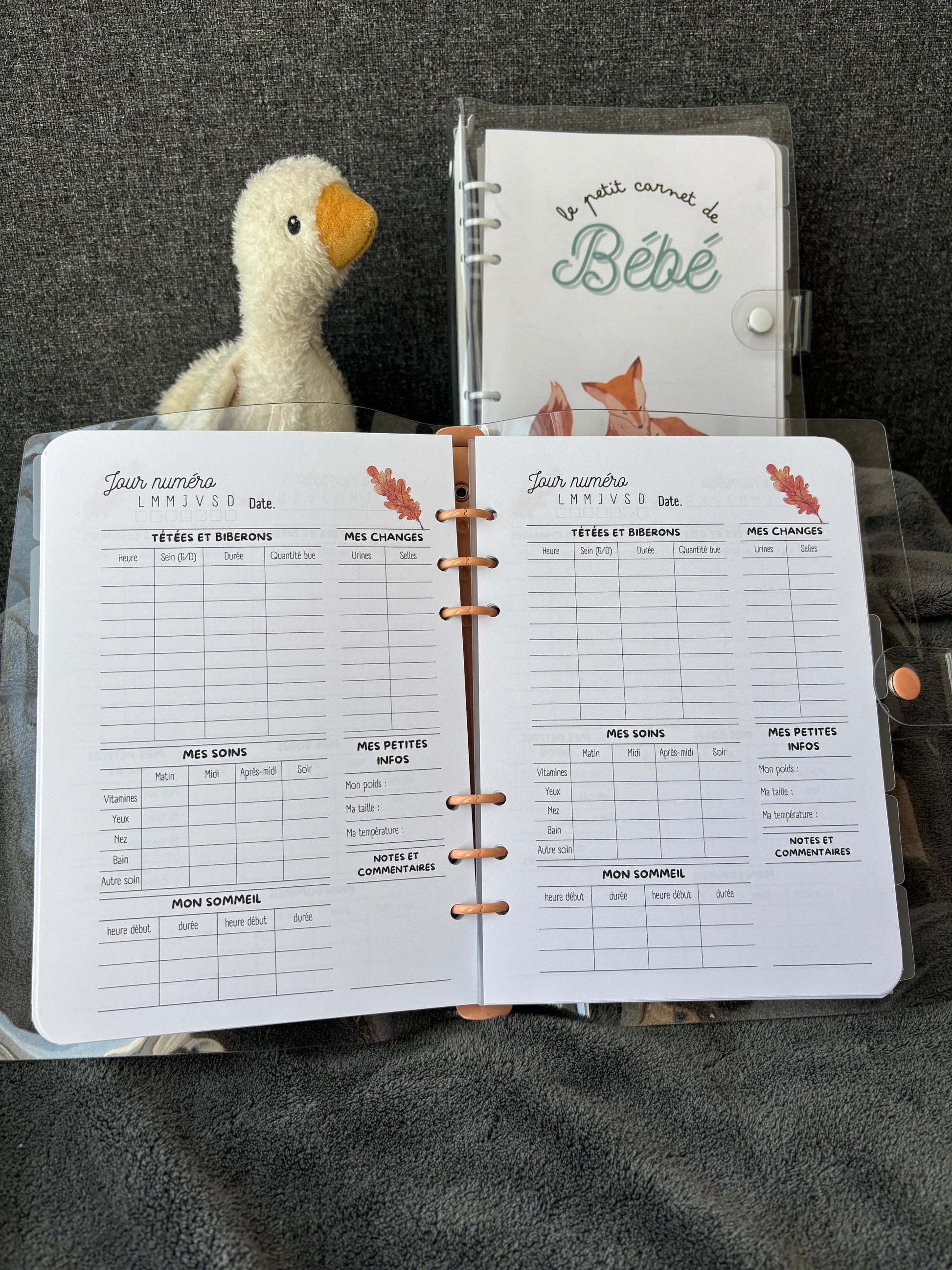 Bébé d'automne - Le Petit Carnet de Bébé 🍃 Ma boutique