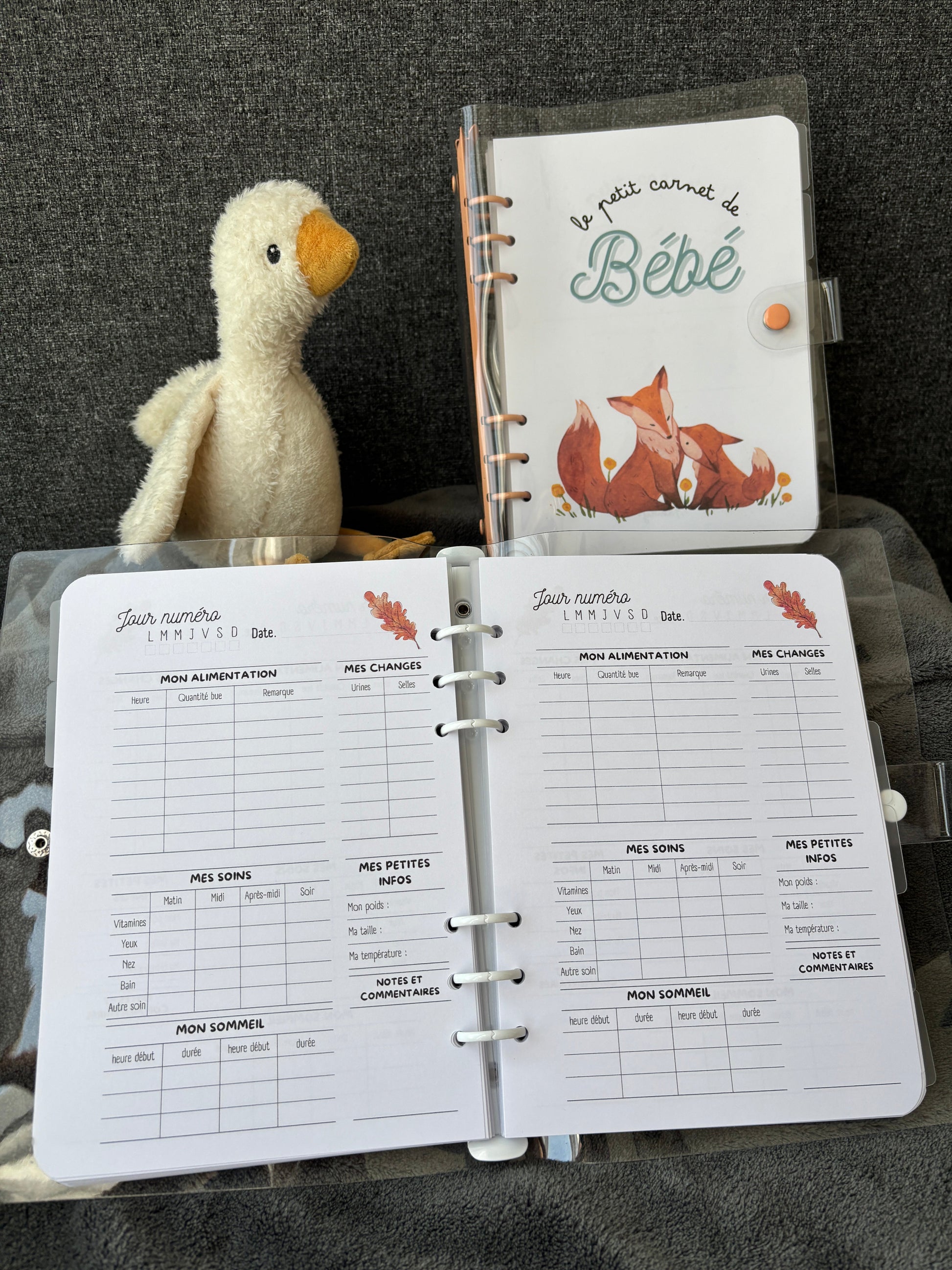 Bébé d'automne - Le Petit Carnet de Bébé 🍃 Ma boutique